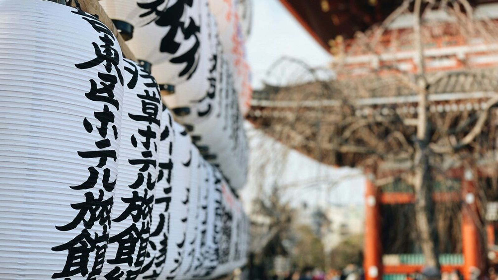 文化とサブカル