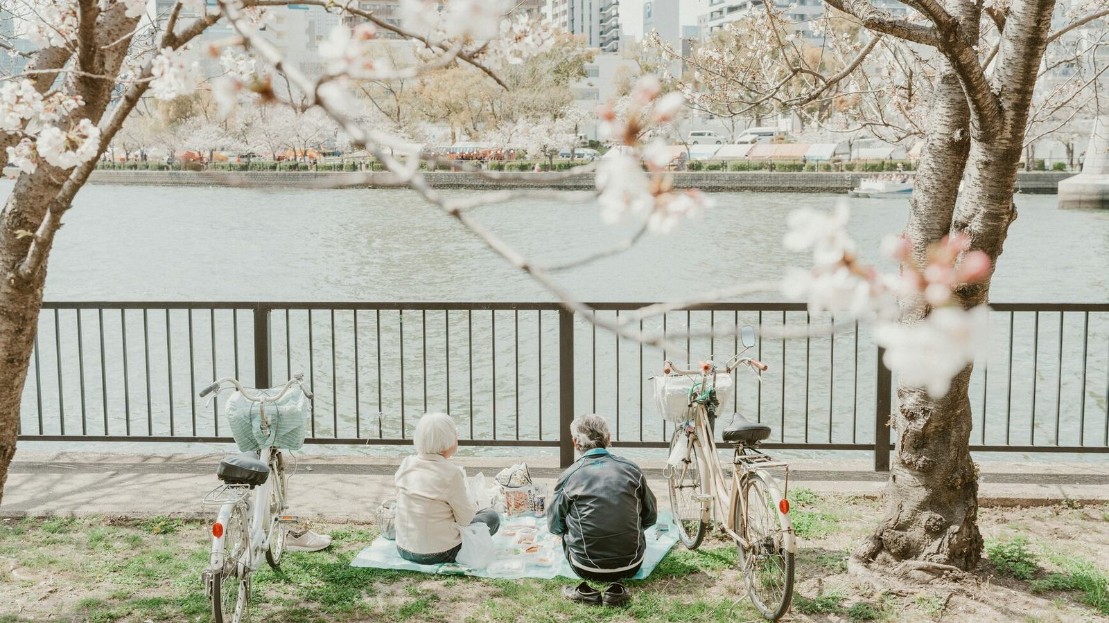 中目黒、川沿いを歩く:橋から橋への一時間ルート