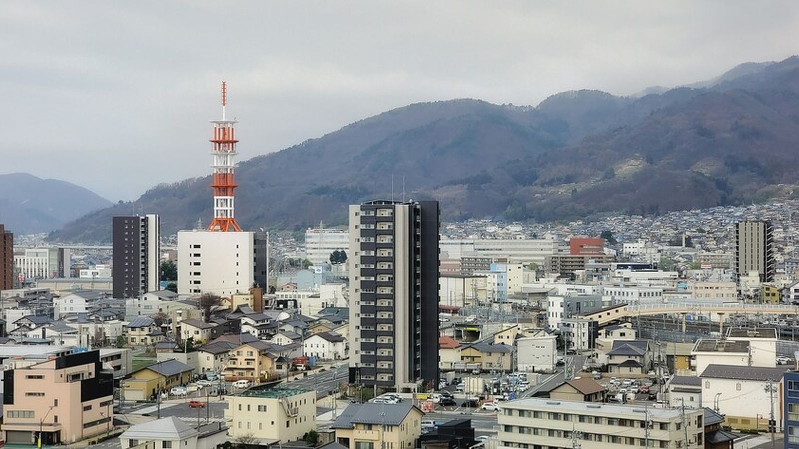 東京の低層住宅は、どこへ消えていくのか:谷根千を例に